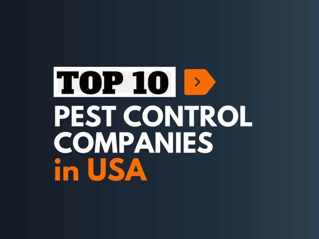 5 Best Pest Control Companies 