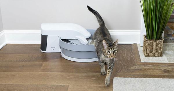 I tested 3 popular self-cleaning litter boxes. This is the only one both my cats and I love.