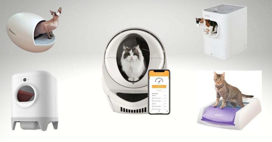 I tested 3 popular self-cleaning litter boxes. This is the only one both my cats and I love. 