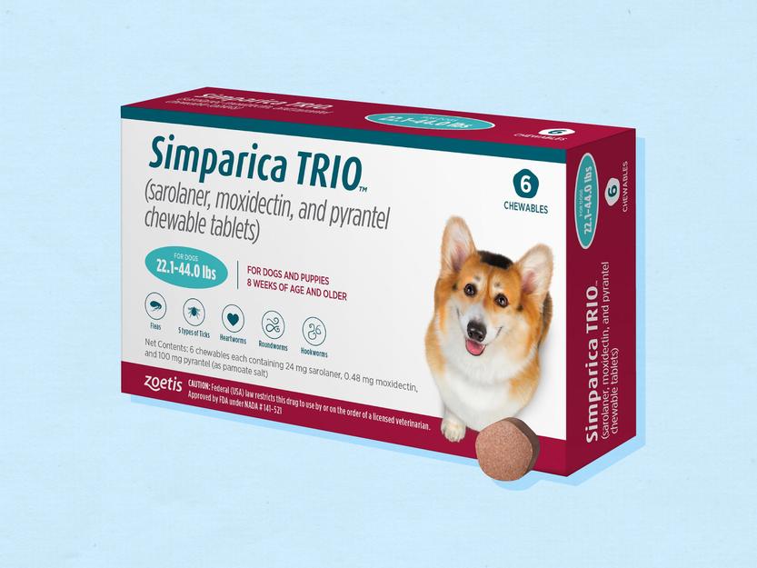 The 5 best flea and tick medicine for dogs in 2021 