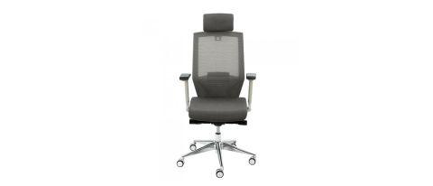 FlexiSpot BS10 back support ergonomic office chair review