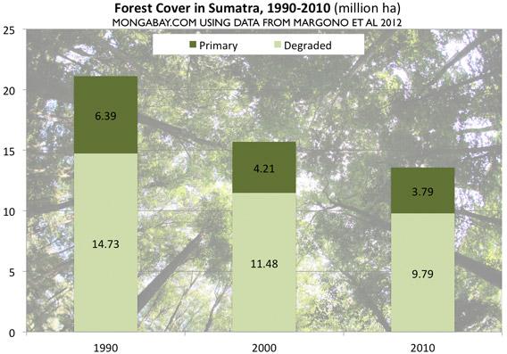 Fate of Indonesian rainforest the size of Belgium hangs in the balance (commentary) 