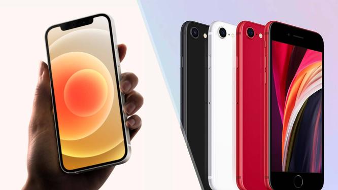 Should You Get the Latest iPhone SE or Older iPhone 12?