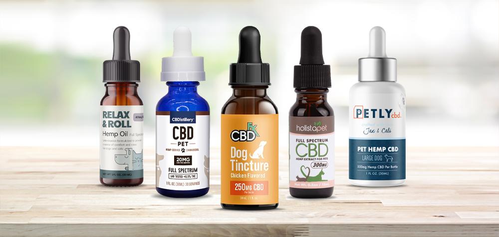 The Best CBD Oil For Dogs – Reduce Anxiety, Pain, Inflammation