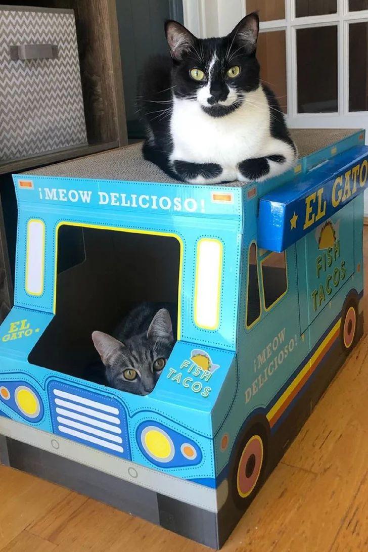 Hungry Cats Can Call a Taco Truck Home, Thanks to This New Scratcher From Target