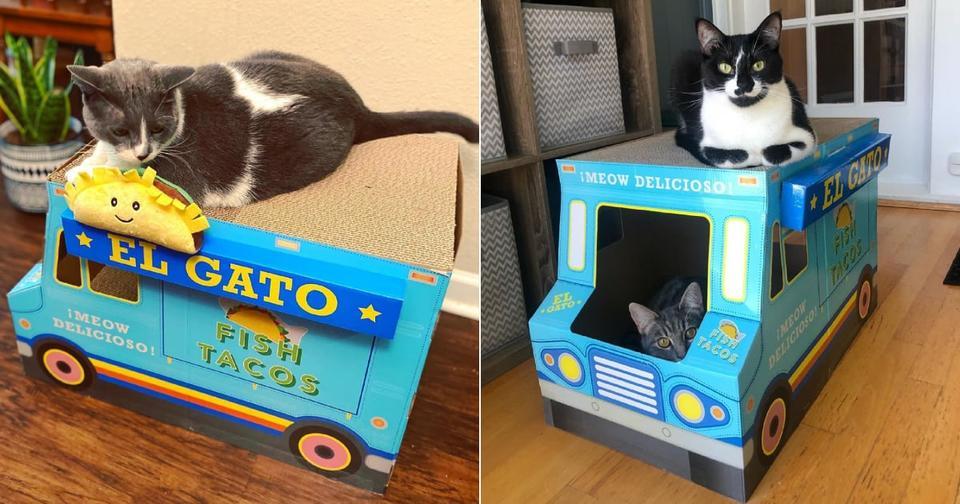 Hungry Cats Can Call a Taco Truck Home, Thanks to This New Scratcher From Target 