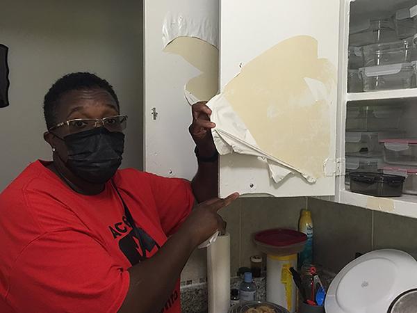 Toronto.com: Rexdale tenants demand landlord fix black mould, bedbugs and broken-down appliances 