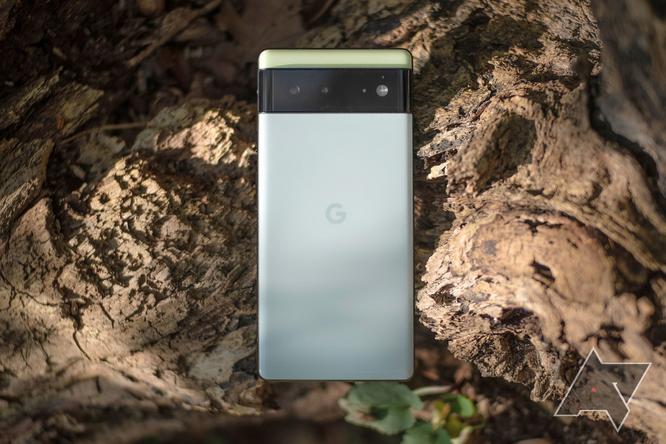 www.androidpolice.com Google says Pixel 6 and 6 Pro signal issues are not down to users getting wrong December build