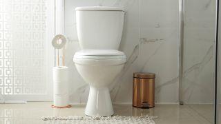 How to clean a toilet and make it look like new