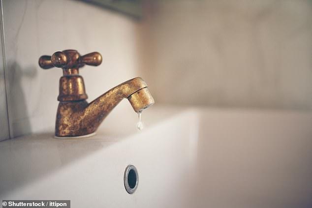 WaterFix program fixing leaky taps and shower heads for free across Sydney as dam levels drop 