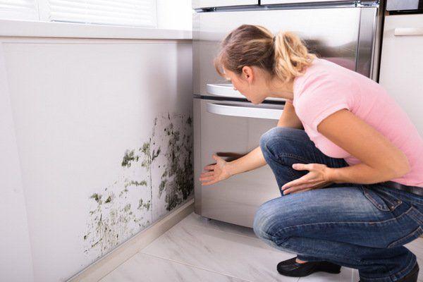 How to remove mould 