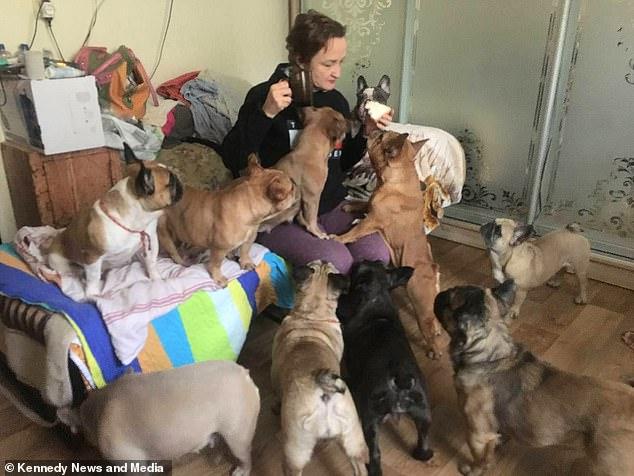 Woman drives for four days with 20 dogs crammed in car to flee Ukraine 