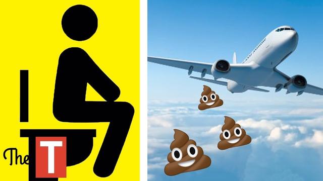 What happens when you flush the toilet on an aeroplane and where the waste goes