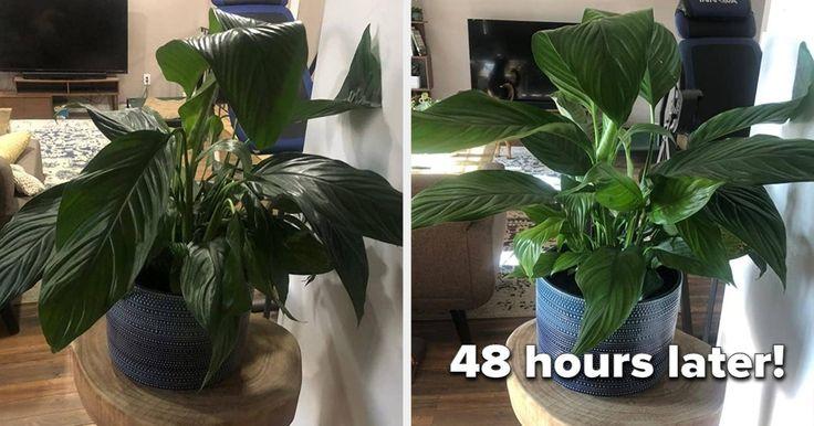 34 Wildly Useful Products With The Before And After Photos To Prove It