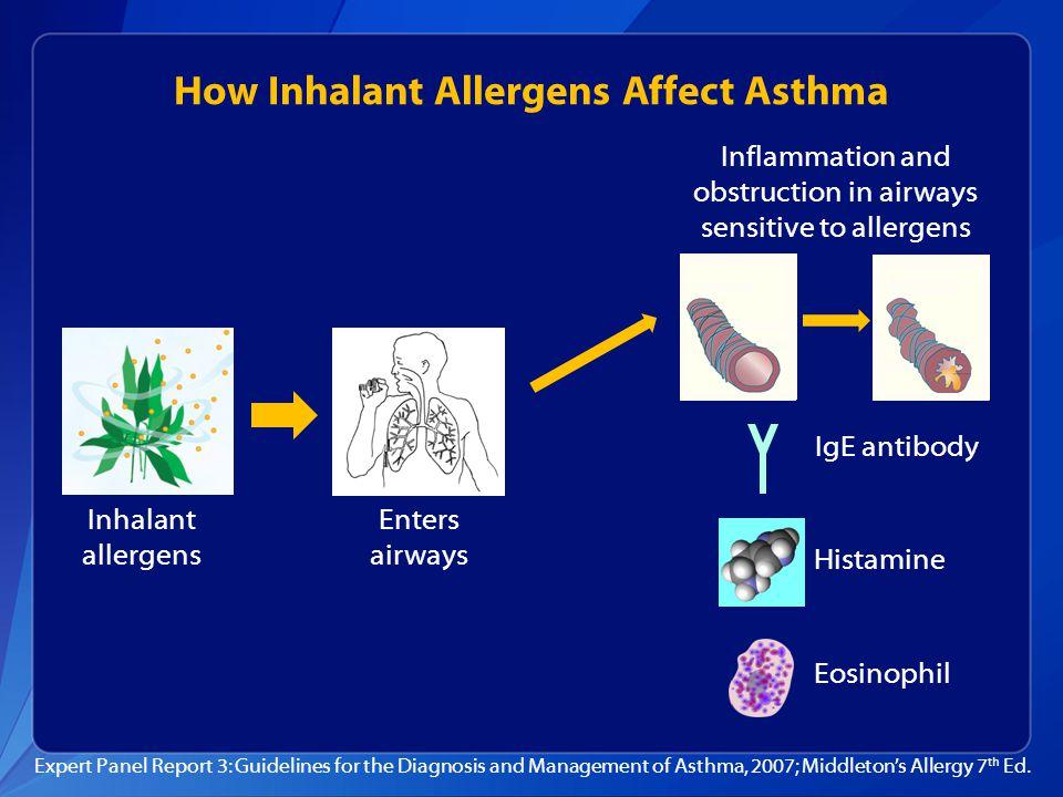 Inhalant Allergies: Causes, Symptoms, and Treatment