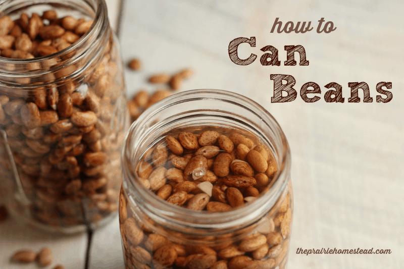 How to Can Legumes