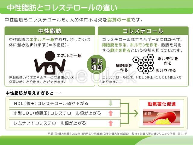 コレステロールと中性脂肪の違いって何？ 