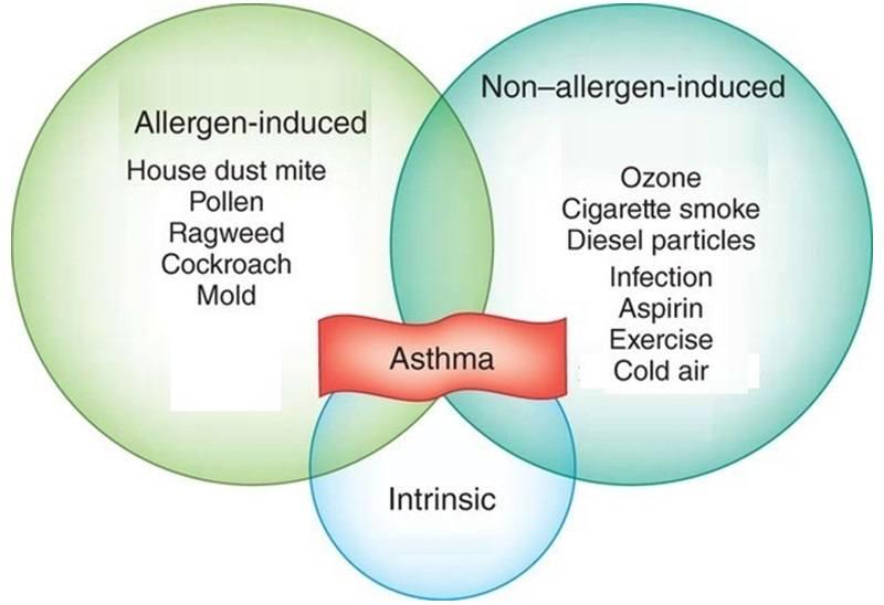 What Type of Asthma Do You Have?