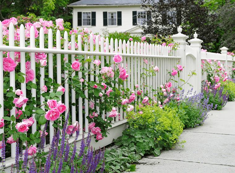 The Best Fence Paints for Your Home