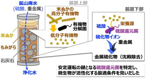 重金属廃水をもみがら・米ぬかと微生物で浄化