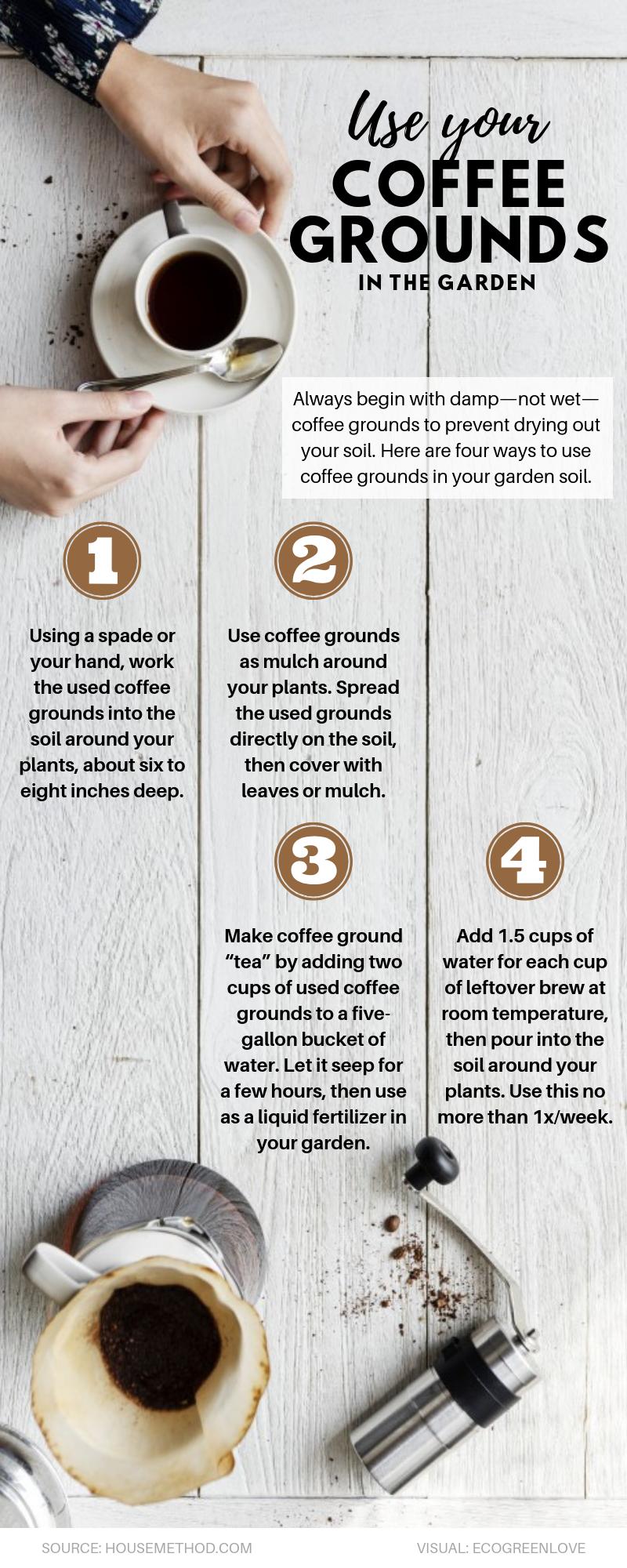 5 ways to use coffee grounds in the garden 