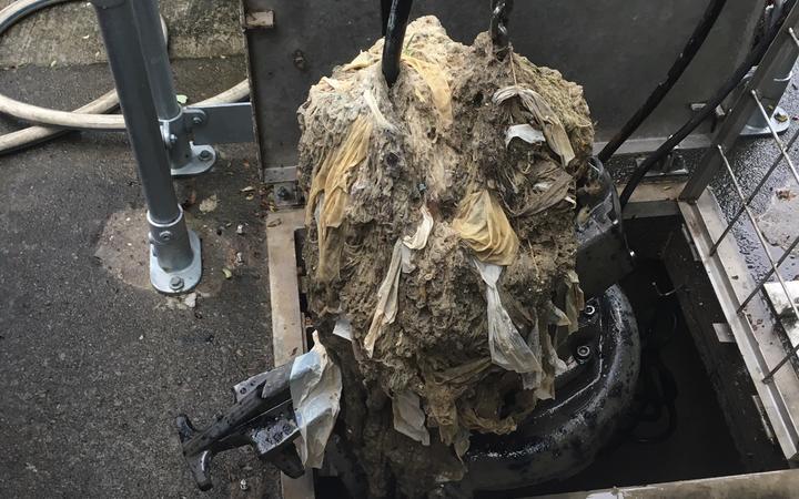 Fatbergs causing problems in New Plymouth 