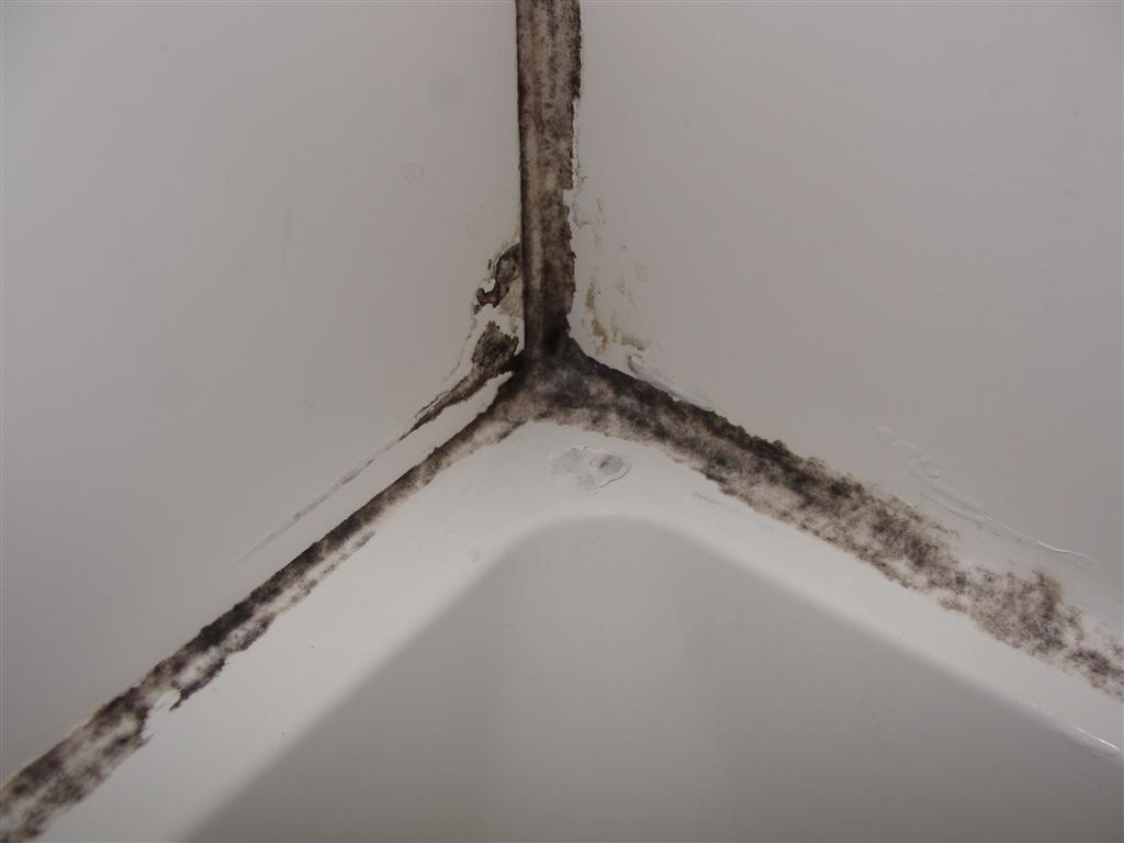 How to re-caulk shower, tub with mildew