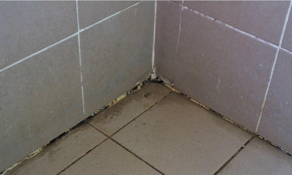 How to re-caulk shower, tub with mildew 