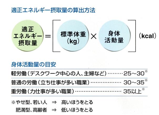 糖尿病の食事療法：カロリーと炭水化物の量の計算