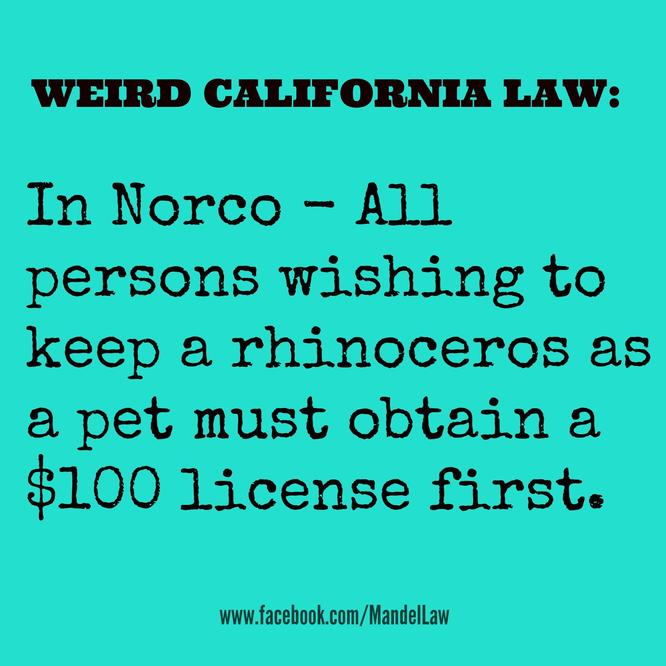 On This Day: The Strangest Laws In L.A. 