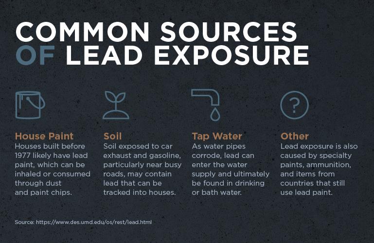 Water is not the most common source of lead poisoning