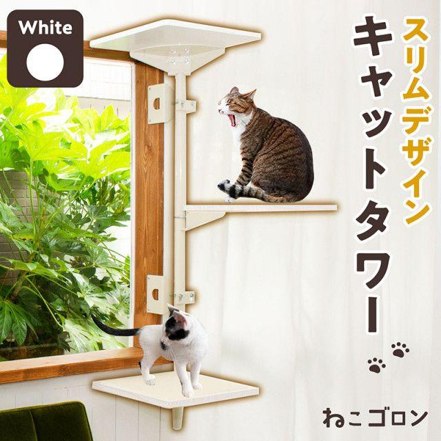 The industry's first!The cat tower "Neko Goron" that is attached to the window frame appears and does not use the floor, so space is saved.