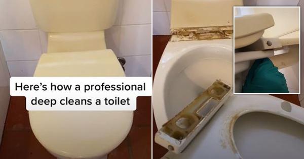 TikTok hack reveals you've been cleaning your toilet wrong—this is how to stop it 'smelling like a urinal' 