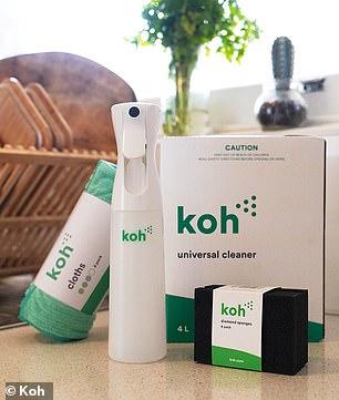  Koh Universal Surface Cleaner first look review 