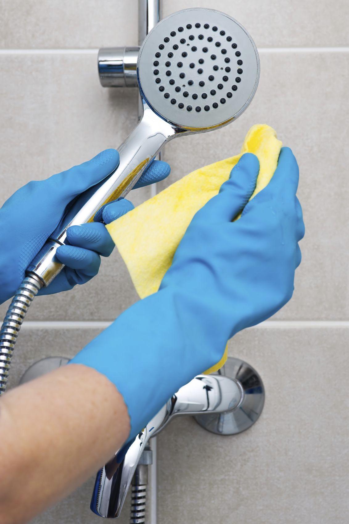Want to Kill Dangerous Bacteria in Your Home? Clean Your Showerhead 