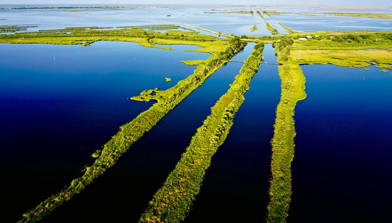 Ghost Forest: Atlas of a Drowning World 