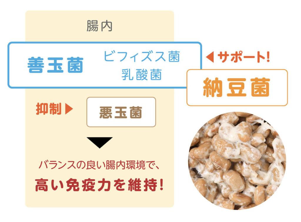 腸内環境とその健康を保つには？ カギとなるのはカロリー摂取量 