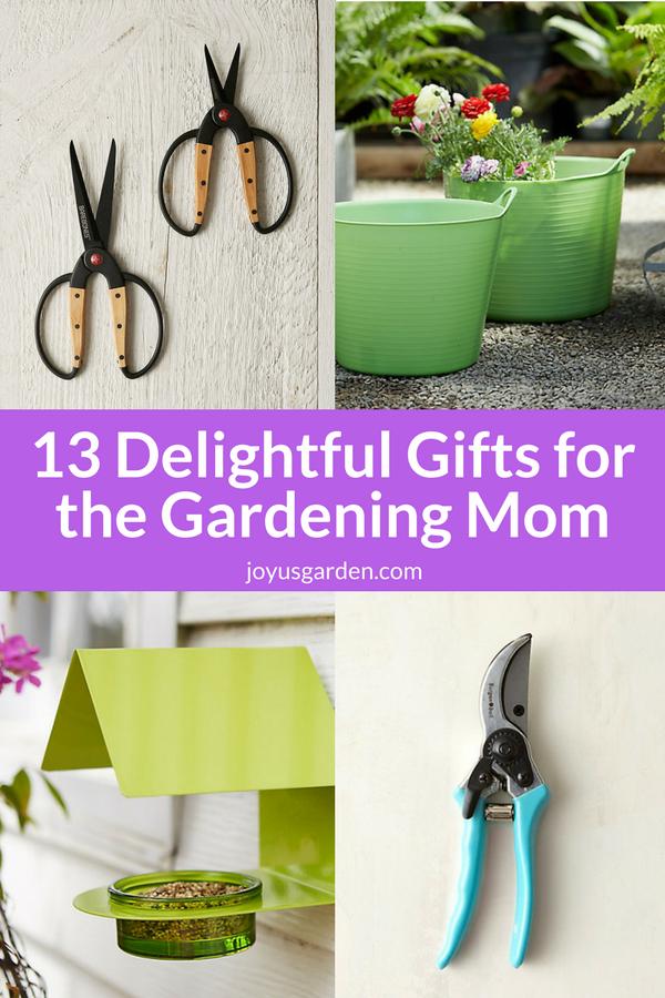 Gardening: Bag your mum a gardening gift for Mother's Day 