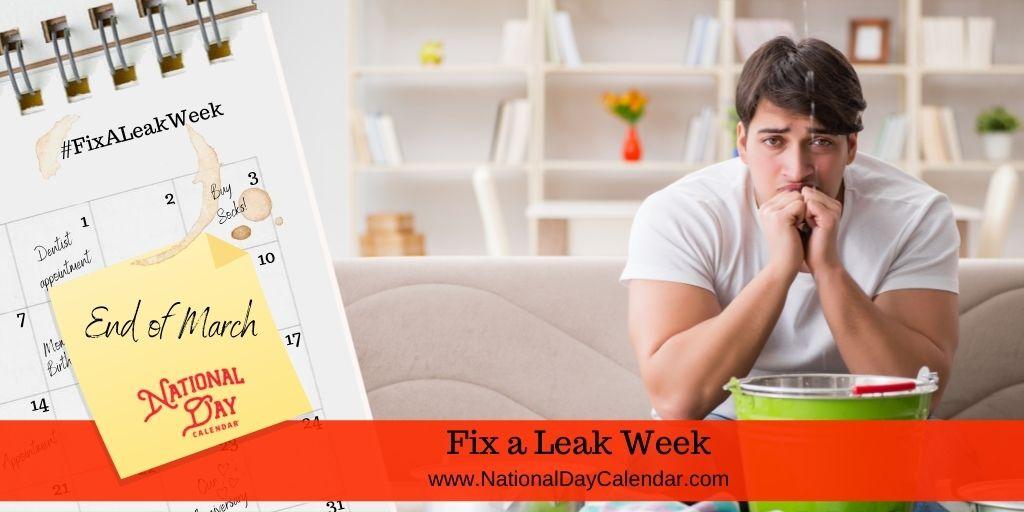 SUEZ Marks National Fix-A-Leak Week 