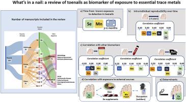 Application of fingernail samples as a biomarker for human exposure to arsenic-contaminated drinking waters