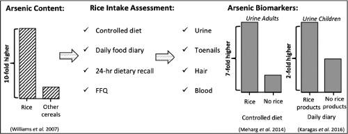 Application of fingernail samples as a biomarker for human exposure to arsenic-contaminated drinking waters 