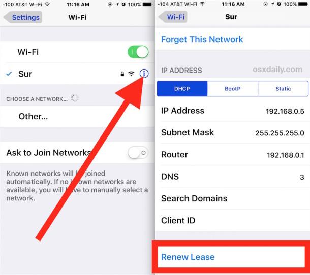 How to Change the IP Address on iPhone 