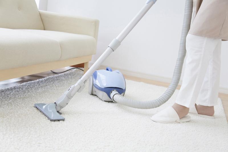 10 options are recommended for Carnister vacuum cleaners | lightweight and easy-to-use models are also introduced.