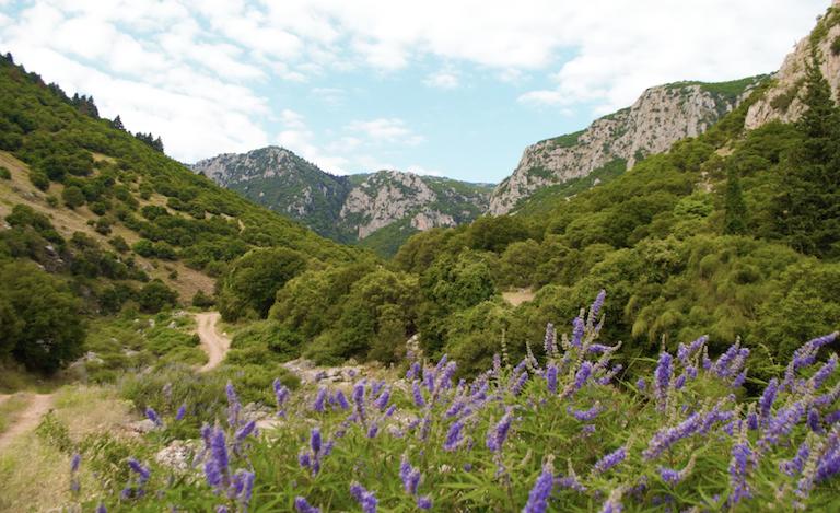 Greek conservationists collaborate to protect endemic species in face of climate change
