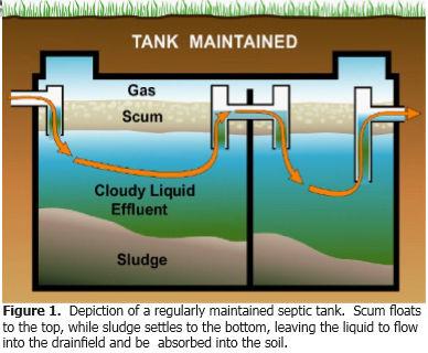 Septic Tank, Chemical Toilet & Grease Waste Pumper Management Program