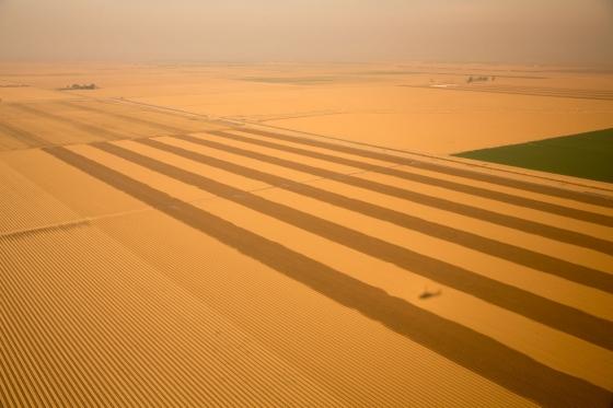 A frenzy of well drilling by California farmers leaves taps running dry 