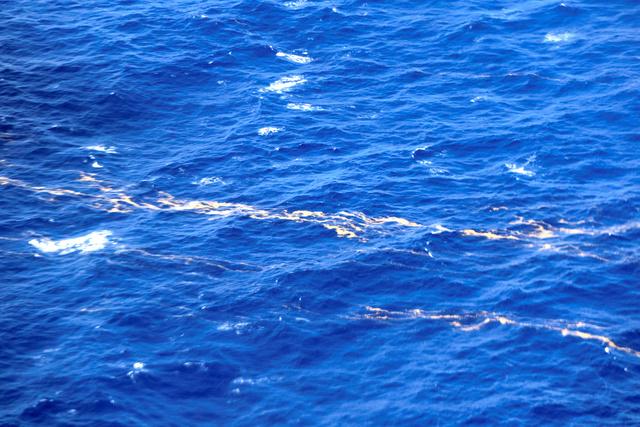 Impact of pumice stone on returning bonito and tuna fishing Drifting confirmed off the coast of Kochi