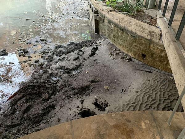 Visiting the River Walk while it's being drained is actually the most-interesting time for locals to go 