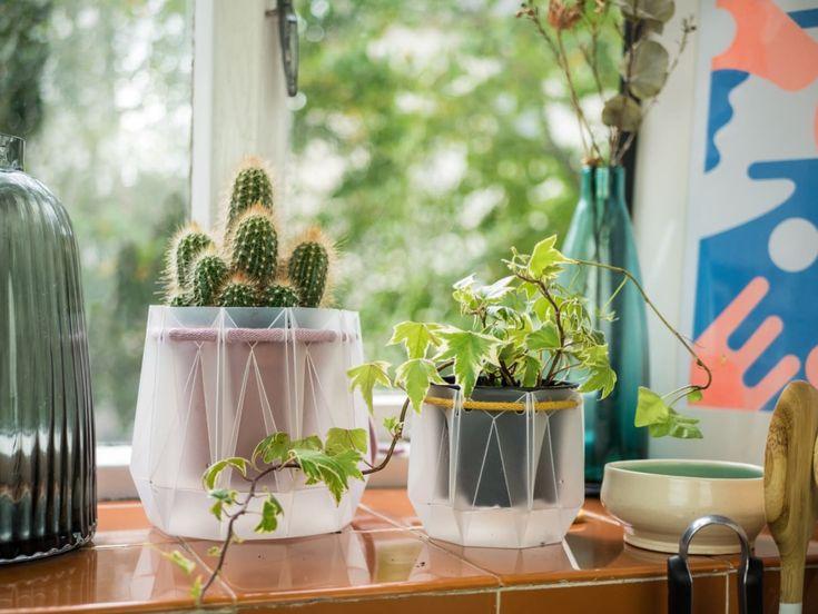 A former Dyson designer has created plant pots that fold flat 