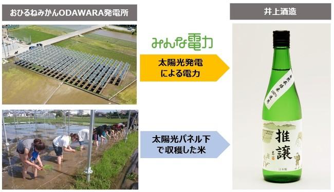 【みんな電力】みんな電力を通じて、耕作放棄地を活用したソーラーシェアリング日本酒「推譲」が誕生！ 企業リリース | 日刊工業新聞 電子版 